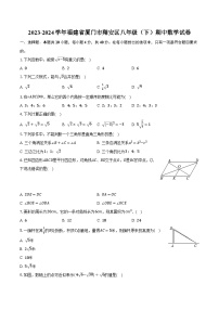 2023-2024学年福建省厦门市翔安区八年级（下）期中数学试卷（含解析）