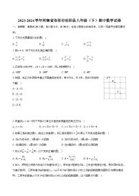 2023-2024学年河南省洛阳市汝阳县八年级（下）期中数学试卷（含解析）