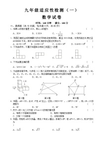 2024年 安徽省 六安市 金安区六安皋城中学九年级级中考适应性检测一数学试题