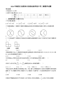 2024年黑龙江省虎林市迎春实验学校中考二模数学试题