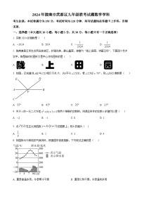 2024年甘肃省陇南市武都区九年级下学期联考模拟数学试题（原卷版+解析版）