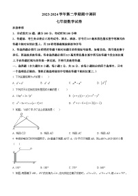 江苏省苏州市苏州工业园区星湾学校2023-2024学年七年级下学期期中数学试题（原卷版+解析版）