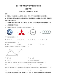 江苏省泰州市兴化市2023-2024学年七年级下学期期中数学试题（原卷版+解析版）