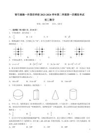 青竹湖湘一外国语学校 2023-2024 学年第二学期九年级第一次模拟考试数学试卷