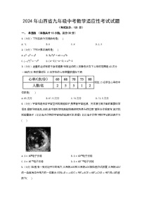 2024年山西省九年级中考数学适应性考试试题（含答案）