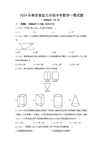 2024年春安徽省九年级中考数学一模试题（含答案）