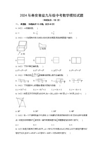 2024年春安徽省九年级中考数学模拟试题2（含答案）