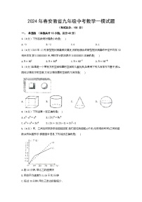 2024年春安徽省九年级中考数学模拟试题（含答案）