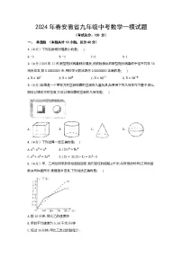 2024年春安徽省九年级中考数学模拟试题（含答案）