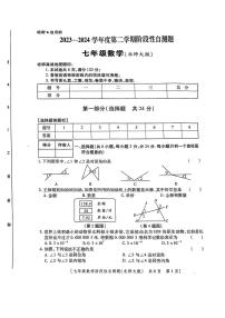 陕西省咸阳市兴平市2023—2024学年七年级下学期期中考试数学试题