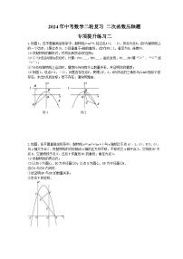 2024年中考数学二轮复习 二次函数压轴题 专项提升练习二（含答案）