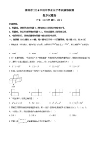 2024年湖南省株洲市中考模拟数学试题（原卷版+解析版）