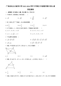 广东省汕头市蓝田中学2023-2024学年八年级下学期期中数学试题（原卷版+解析版）