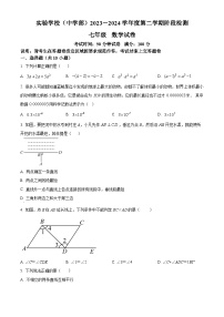 广东省深圳市实验学校中学部2023-2024学年七年级下学期期中数学试题（原卷版+解析版）