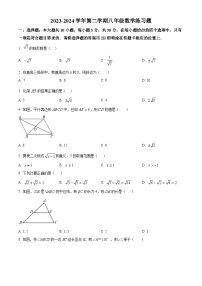 广东省肇庆市德庆县德庆中学教育集团2023-2024学年八年级下学期期中数学试题（原卷版+解析版）