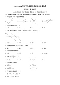 云南省楚雄彝族自治州2023-2024学年七年级下学期4月期中数学试题（原卷版+解析版）