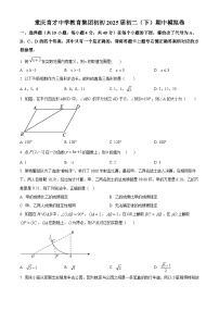 重庆育才中学教育集团初2023-2024学年下学期八年级数学期中模拟试题（原卷版+解析版）