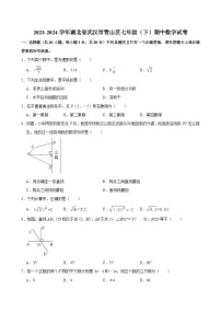 2023-2024学年湖北省武汉市青山区七年级（下）期中数学试卷（含解析）