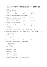 2023-2024学年四川省泸州市纳溪区八年级（下）期中数学试卷（含解析）