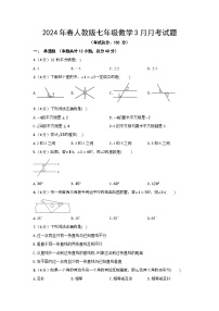 2024年春人教版七年级数学3月月考试题（含选择题答案）