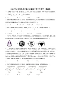 2024年山东省枣庄市滕州市滕南中学九年级中考数学一模试卷