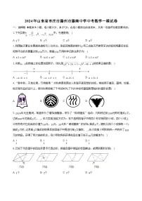 2024年山东省枣庄市滕州市滕南中学九年级中考数学一模试卷