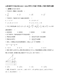 山东省济宁市金乡县2023-2024学年八年级下学期4月期中考试数学试题（原卷版）