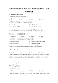 山东省济宁市金乡县2023-2024学年八年级下学期4月期中考试数学试题(含解析)