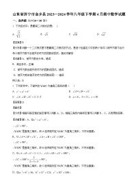 山东省济宁市金乡县2023-2024学年八年级下学期4月期中考试数学试题（解析版）