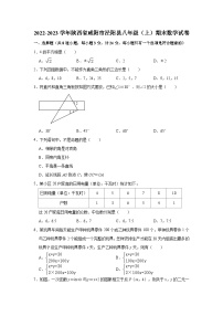 2022-2023学年陕西省咸阳市泾阳县八年级（上）期末数学试卷