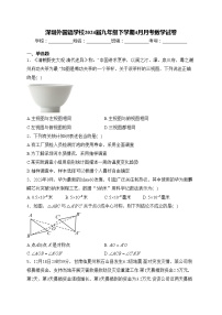 深圳外国语学校2024届九年级下学期4月月考数学试卷(含答案)