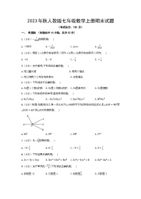 2023年秋人教版七年级数学上册期末试题（含答案）