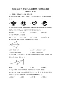 2023年秋人教版八年级数学上册期末试题2（含答案）