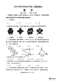 2024年江苏省宿迁市泗阳县九年级中考二模数学试题