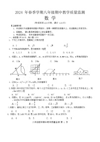 广西壮族自治区防城港市上思县2023-2024学年八年级下学期期中考试数学试卷