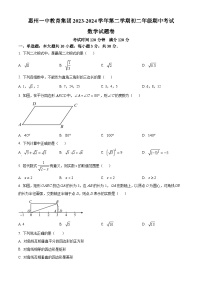 广东省惠州市惠城区惠州一中教育集团2023-2024学年八年级下学期期中数学试题（原卷版+解析版）