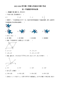 广东省中山市纪中集团2023-2024学年七年级下学期期中数学试题（原卷版+解析版）