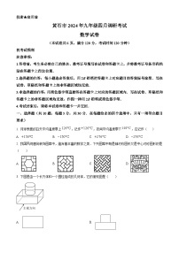 2024年湖北省黄石市中考模拟数学试题（原卷+解析卷）