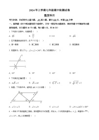 湖南省长沙市雅礼教育集团2023-2024学年七年级下学期期中数学试题（原卷+解析卷）