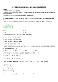 辽宁省葫芦岛市连山区2024年中考适应性考试数学试题+