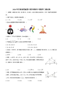 2024年甘肃省武威四中联片教研中考数学二模试卷(含解析）