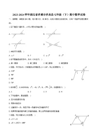 2023-2024学年湖北省孝感市孝昌县七年级（下）期中数学试卷(含解析）