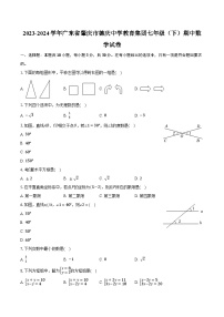 2023-2024学年广东省肇庆市德庆中学教育集团七年级（下）期中数学试卷(含解析）