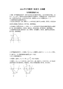 2024年中考数学二轮复习 压轴题 专项培优练习02（含答案）