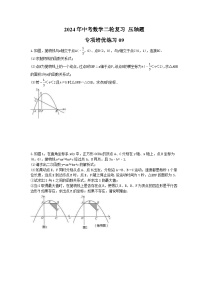 2024年中考数学二轮复习 压轴题 专项培优练习09（含答案）