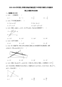 2024年甘肃省武威市民勤县民勤县昌宁中学教研联片九年级中考三模数学试题