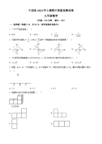 湖南省永州市宁远县2023-2024学年九年级下学期期中数学试题（原卷版+解析版）