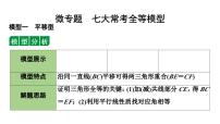 2024年海南省中考数学二轮复习 微专题 七大常考全等模型（课件）