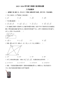 河南省驻马店市汝南县2023-2024学年八年级下学期4月期中数学试题（原卷版+解析版）