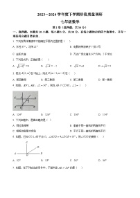 山东省临沂市兰陵县2023-2024学年七年级下学期4月期中数学试题（原卷版+解析版）